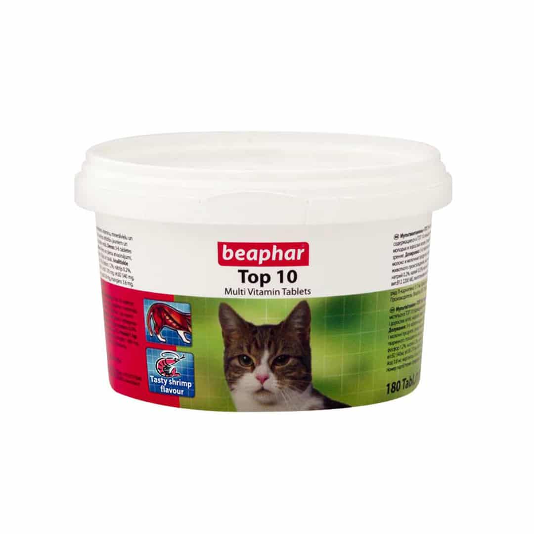 مکمل غذایی گربه را چه زمانی استفاده کنیم- فراپت