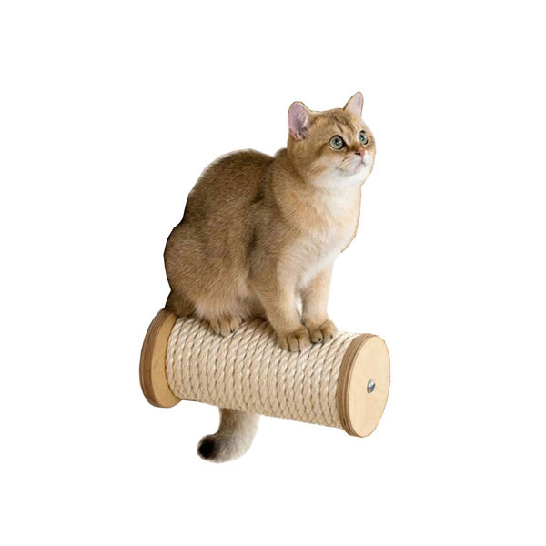 اسکرچر گربه مدل پرشین مجموعه 3 عددی-فراپت