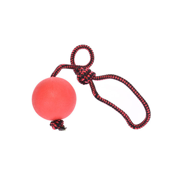 اسباب بازی سگ توپ طناب دار کد 3196-3-فراپت