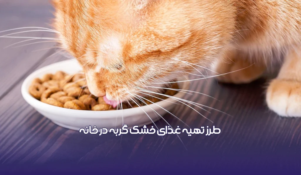 طرز تهیه غذای خشک گربه در خانه با ساده ترین شکل ممکن